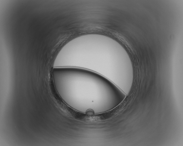 X0000113750501200909231134