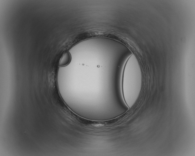 X0000113750509200909231134