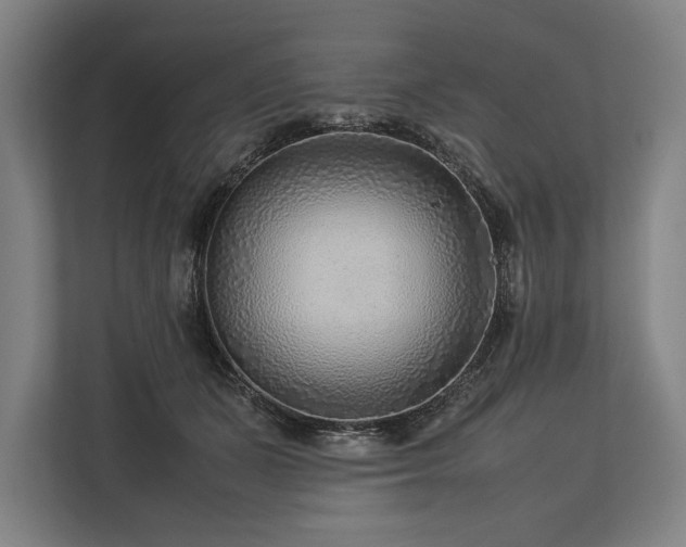 X0000113750511200909231134