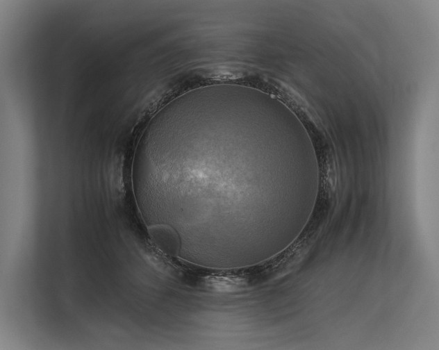 X0000113750512200909231134