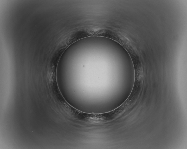 X0000113750515200909231134