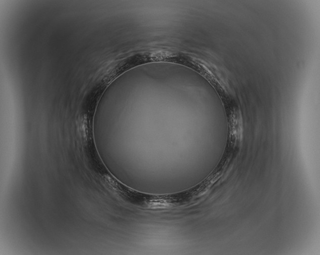 X0000113750519200909231134