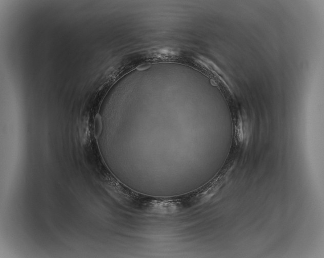 X0000113750520200909231134
