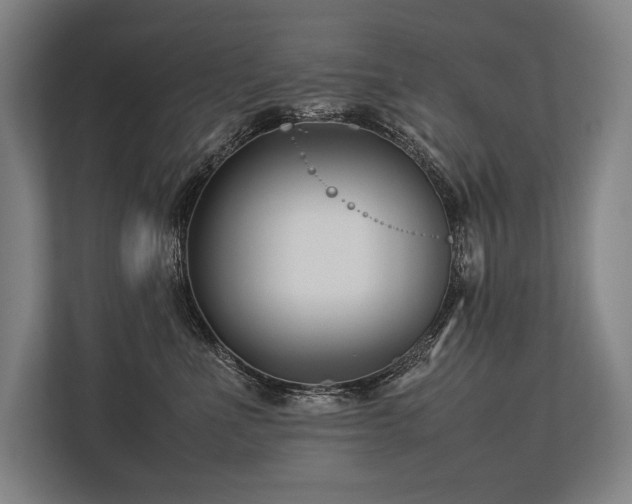 X0000113750523200909231134