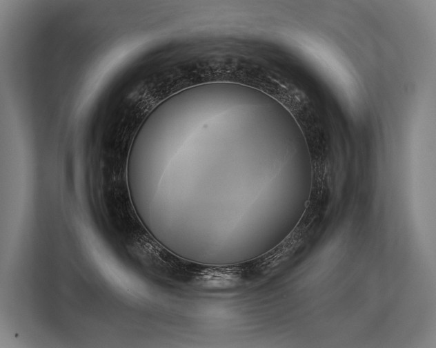 X0000113750526200909231134