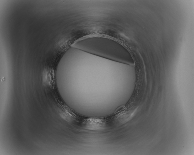 X0000113750528200909231134