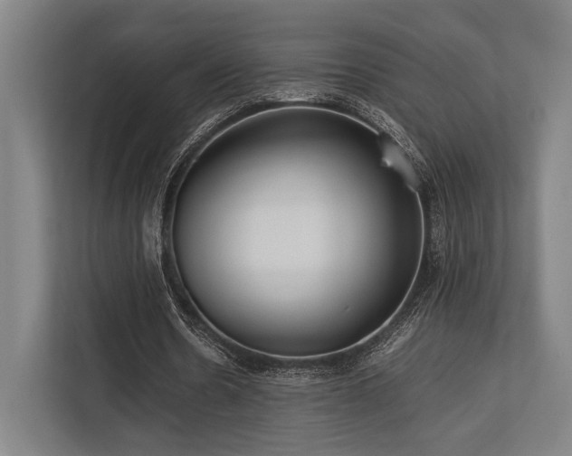 X0000113750530200909231133