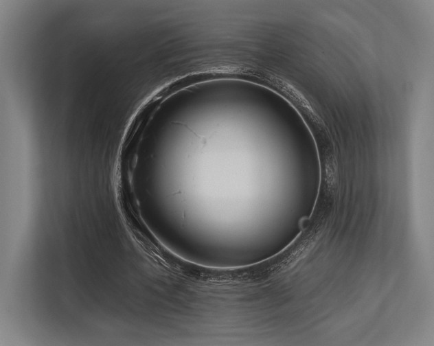 X0000113750532200909231133