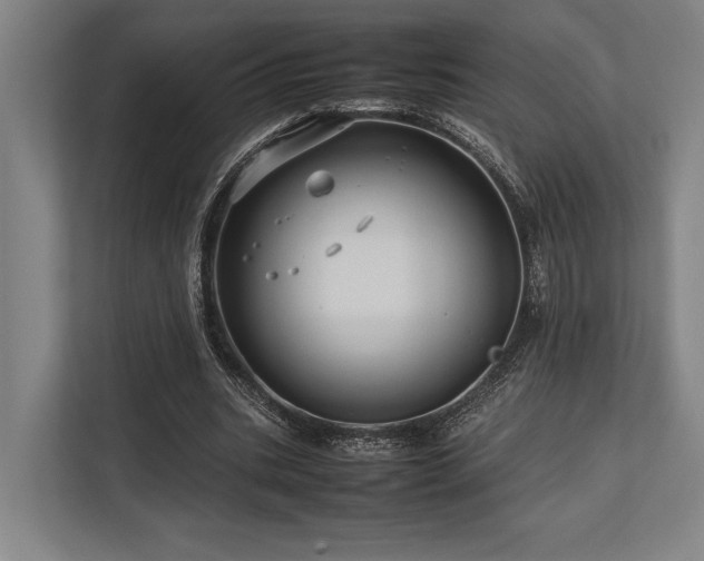 X0000113750535200909231133