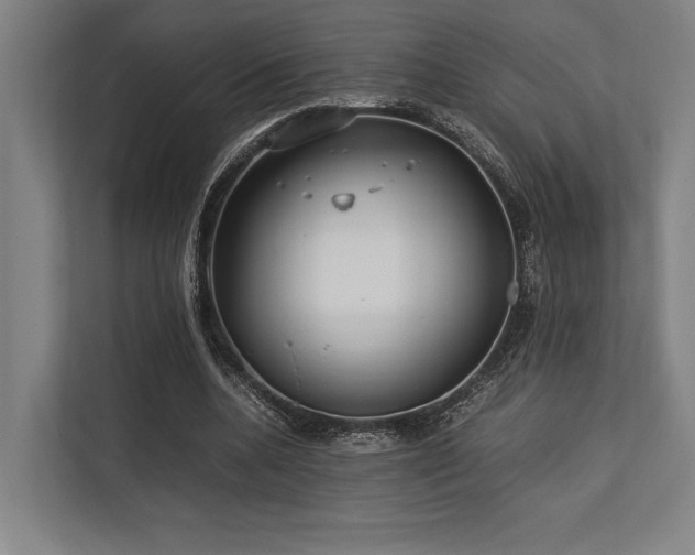 X0000113750536200909231133