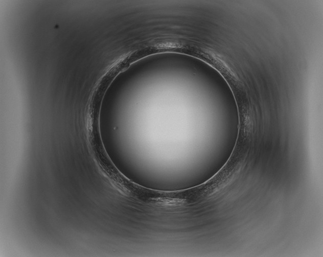 X0000113750539200909231134
