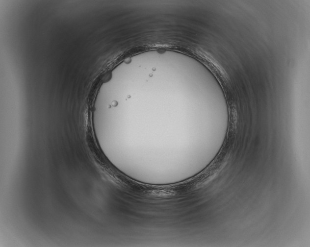 X0000113750541200909231134