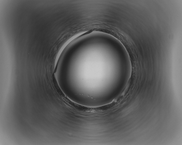 X0000113750558200909231134