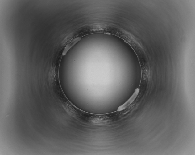 X0000113750560200909231134