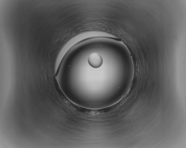 X0000113750562200909231134