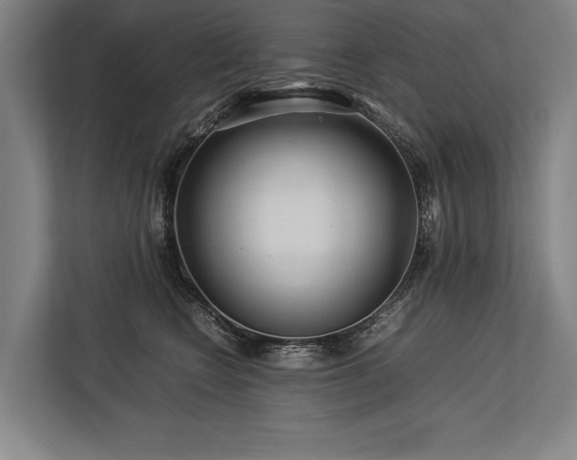 X0000113750566200909231134