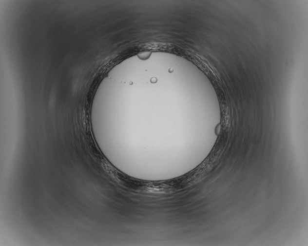 X0000113750569200909231134