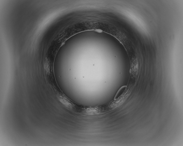 X0000113750574200909231134