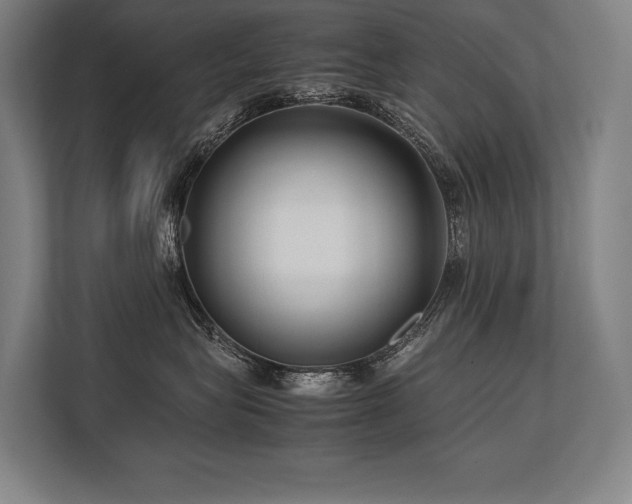 X0000113750575200909231134