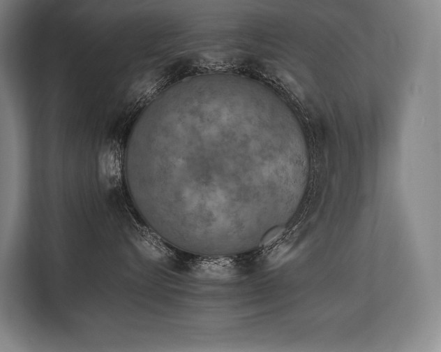X0000113750576200909231134