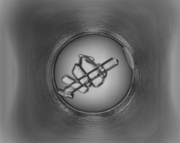 X0000113750577200909231133