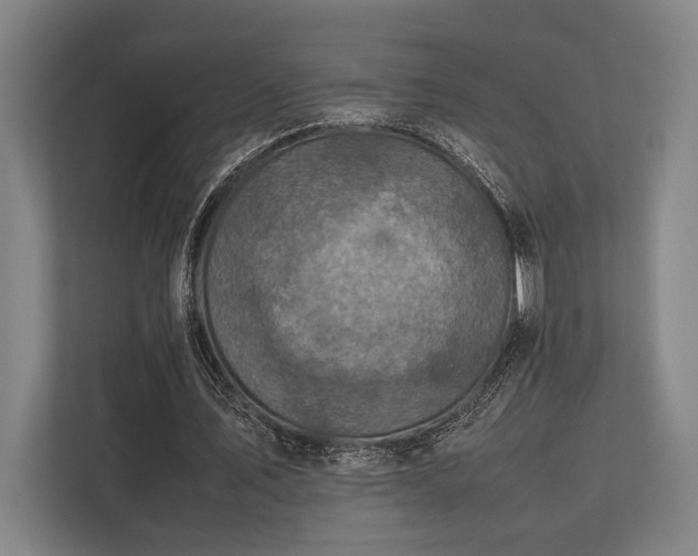 X0000113750579200909231133
