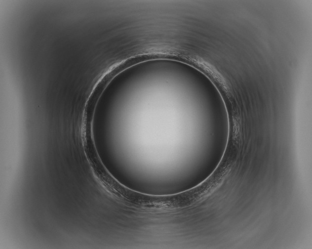 X0000113750580200909231133