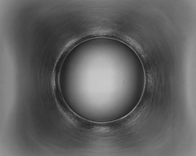 X0000113750582200909231133