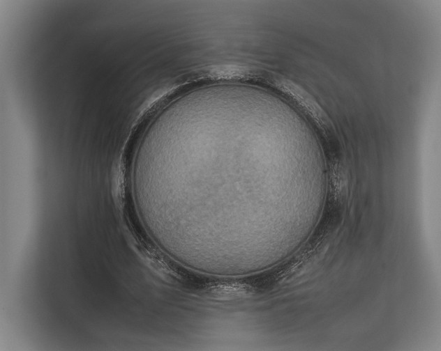 X0000113750583200909231133