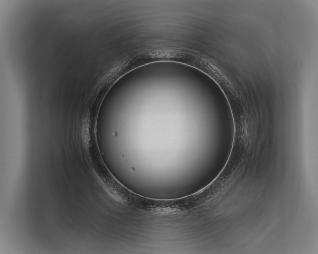 X0000113750586200909231133