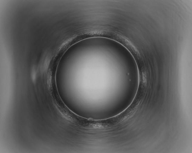 X0000113750588200909231133