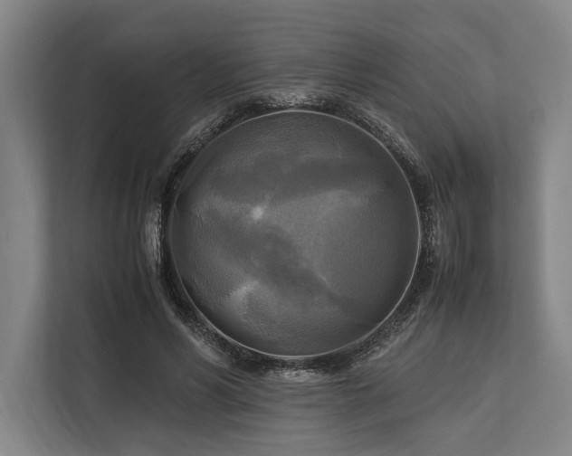 X0000113750590200909231133