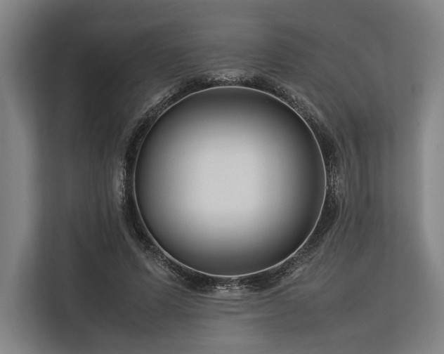 X0000113750591200909231133