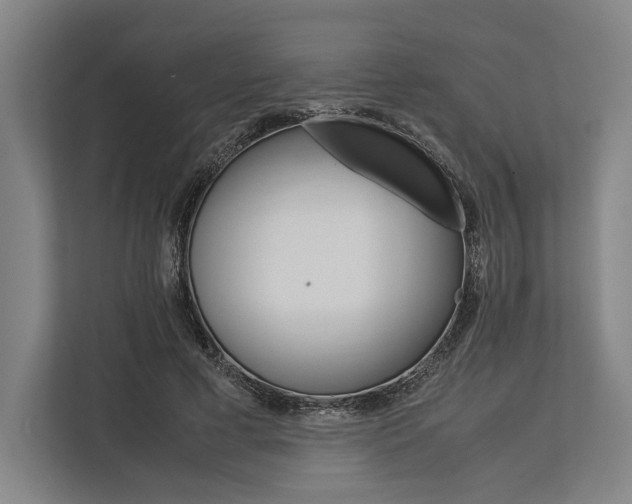 X0000113750593200909231133