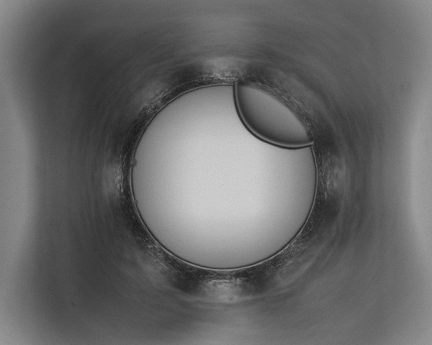 X0000113750595200909231133