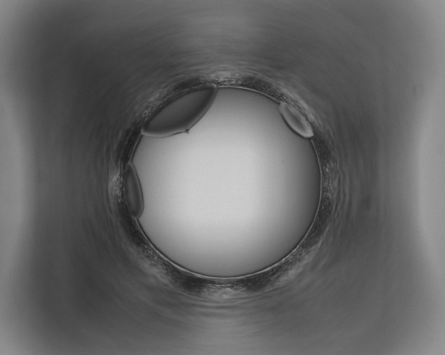 X0000113750597200909231133
