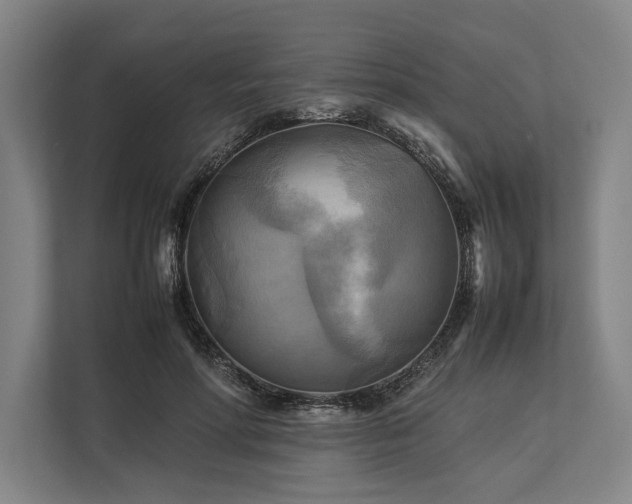 X0000113750598200909231133