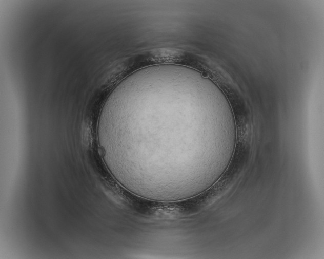 X0000113750599200909231133