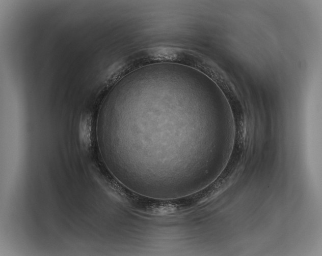 X0000113750600200909231133