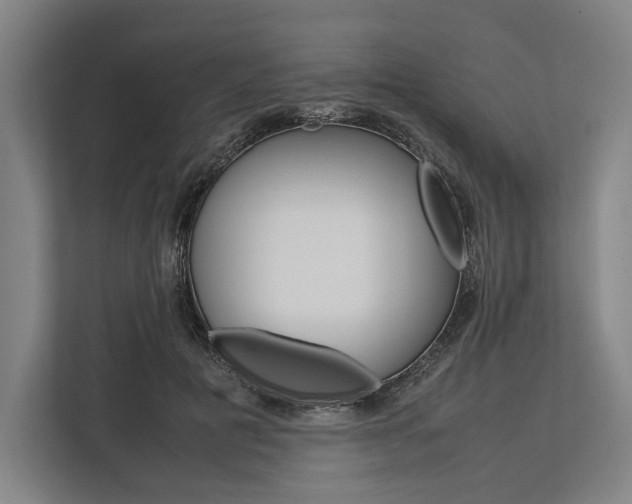 X0000113750601200909231133