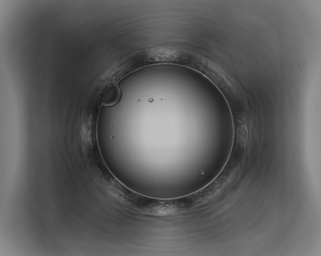 X0000113750604200909231133