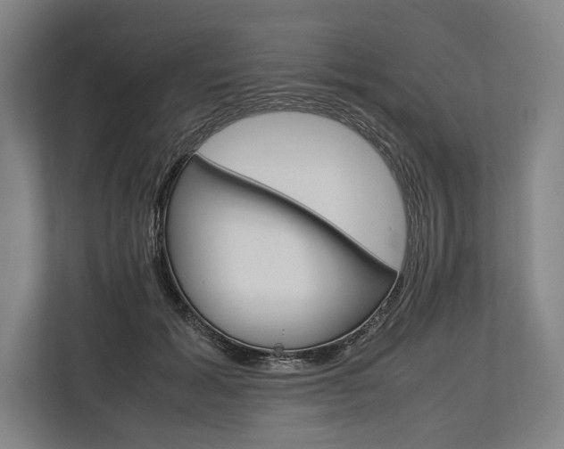 X0000113750605200909231133