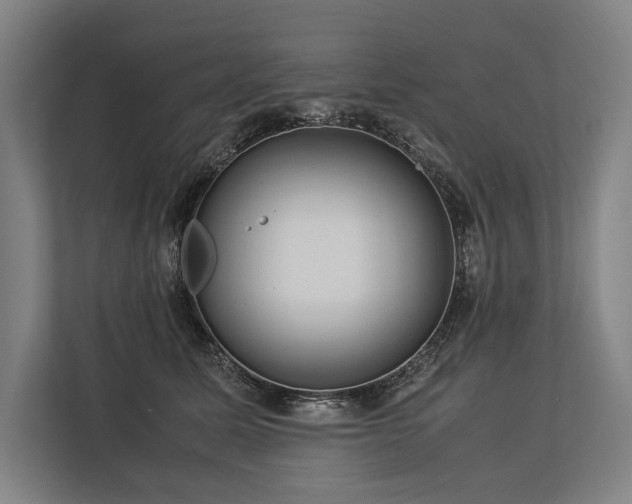 X0000113750611200909231133