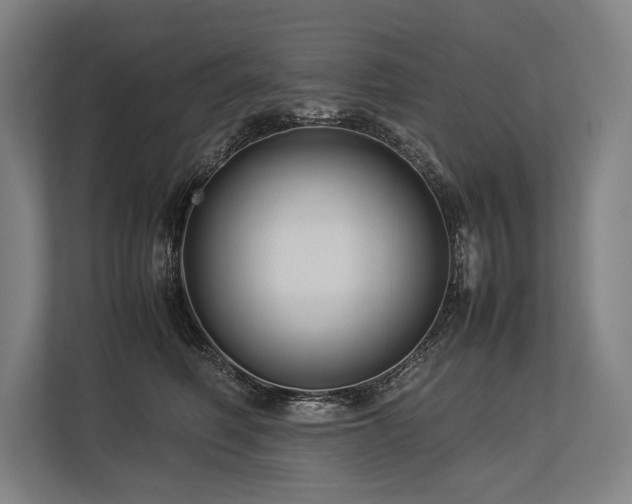 X0000113750614200909231133