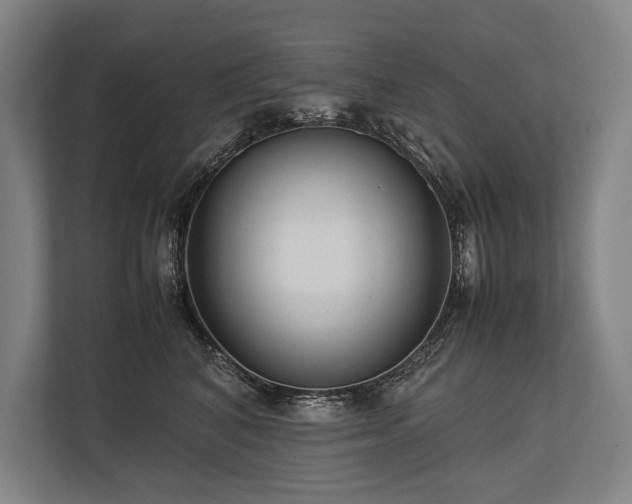X0000113750616200909231133