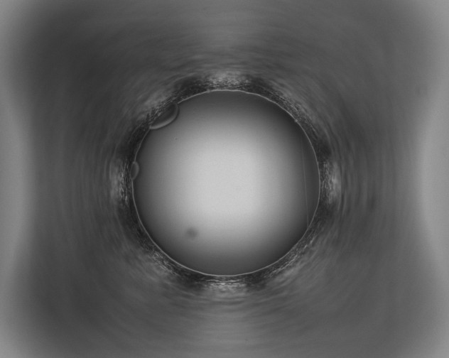 X0000113750619200909231133