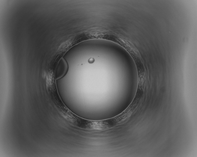 X0000113750623200909231133