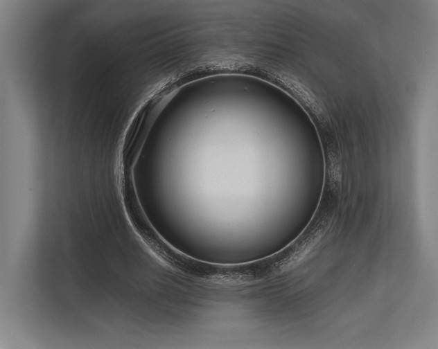 X0000113750630200909231132