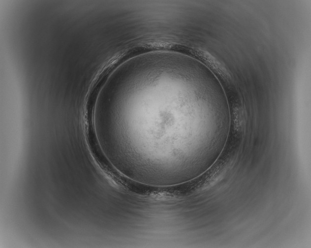 X0000113750634200909231132
