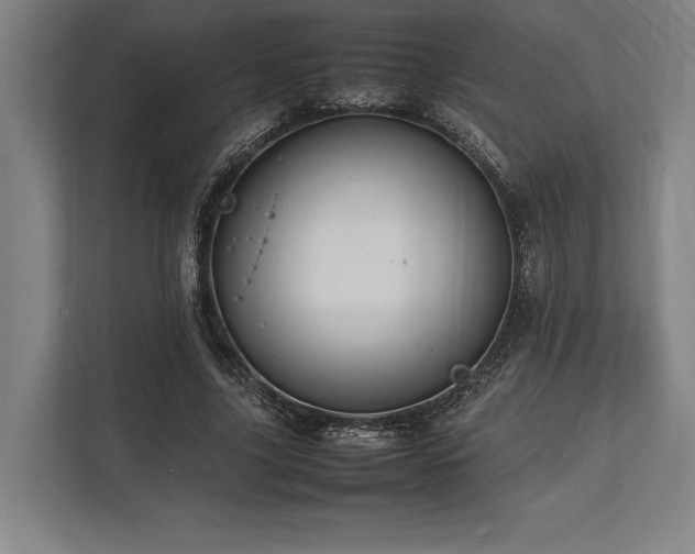 X0000113750635200909231132